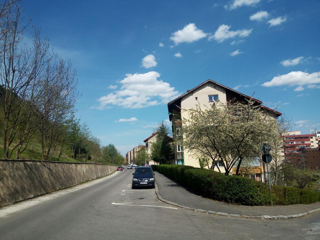 Lexy'S Apartment Brasov Ngoại thất bức ảnh