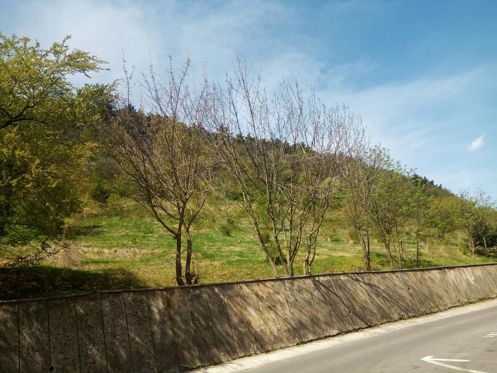 Lexy'S Apartment Brasov Ngoại thất bức ảnh